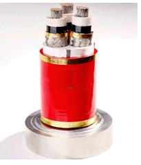 6/10KV金属屏蔽监视型软电缆